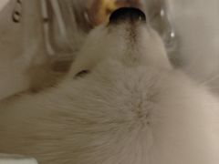 -FANEN法念·烘焙·甜点(万象城店)