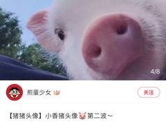 -CoCo都可(健翔桥店)