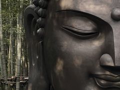 -杭州植物园