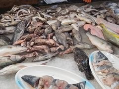 -和源祥·日照菜扛把子(万平口一店)