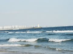 -清水湾旅游度假区