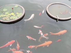 -石峰岩寺