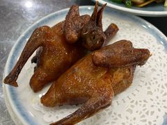 -鸽鸟轩(石岐店)