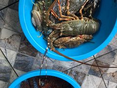 -拉威海鲜市场