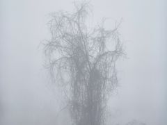 -秦岭终南山世界地质公园翠华山景区