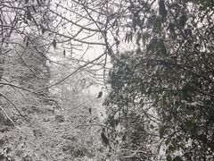 -青城山