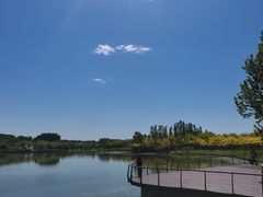 -东郊湿地公园