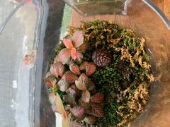 -每碗面馆(新鸿安大厦店)