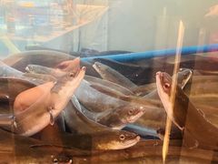 -三宝泥炉·活烤鳗鱼(七宝宝龙店)