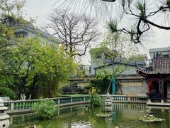 -碧江金楼