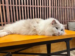 -本格·深夜食堂(北理工店)