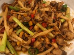 -boundaries籬苑(瑞光创意工厂-贰号院店)