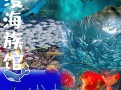 -上海海洋水族馆