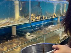 -仙螺岛海鲜自助餐厅(总店)