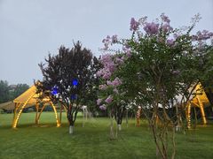 -春晖园度假酒店温泉