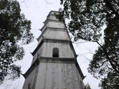 -南山植物园