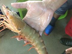 -班赞海鲜市场