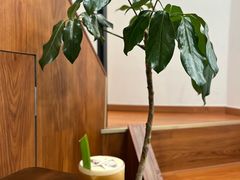 -LilBee Coffee