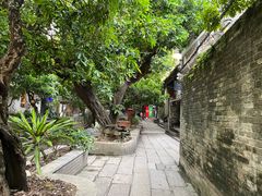 -小洲村