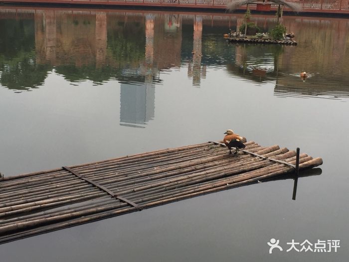 南宁加勒比水世界图片