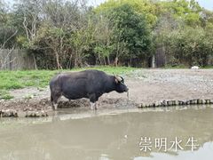 -上海野生动物园
