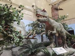 -国家自然博物馆