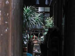 -恩阳古镇