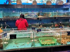 水产区-昌隆•家家鹅乡•海南菜老字号(琼海店)