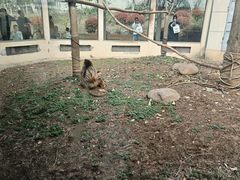 -合肥野生动物园