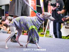 -1013 PET SHOP 宠物商店(近铁城市广场店)