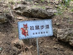 -佛慧山