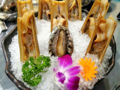 蛏子-金龙·打边炉(武进路店)