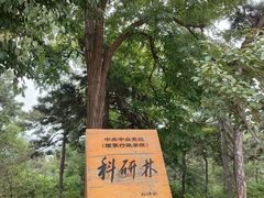 -北京西山国家森林公园