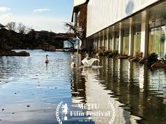 -罗红摄影艺术馆