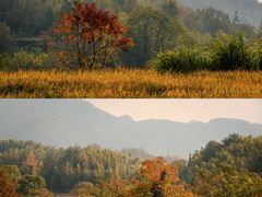-塔川景区