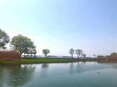 -太湖湖滨国家湿地公园-停车场