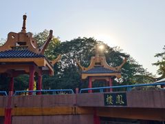 -金砂公园