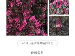 -徐家汇源景区-衡山公园
