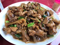 黄焖土鸡-生态苑农庄(十里画廊遇龙河店)