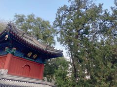 -香山公园