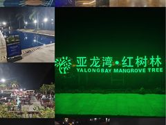 -三亚亚龙湾红树林度假酒店