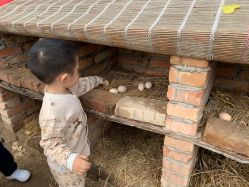-上美四季动物农场