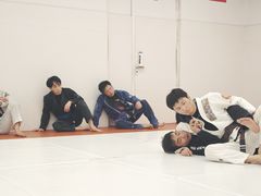 -DEFGROUP·巴西柔术·拳击·摔跤(世纪大道馆)