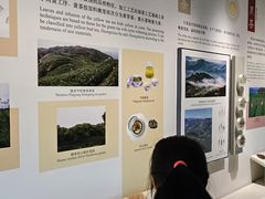 -中国茶叶博物馆(双峰馆区)