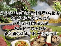 -西双版纳原始森林公园