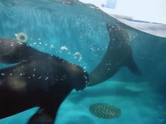 -成都浩海立方海洋公园