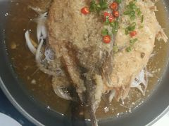 -三强鸽子(胜利路店)