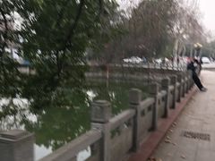 -武汉大学-樱园