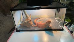 点击看大图 -酷嗒动物文化乐园(cutezoo西溪乐天城店)