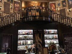 -雪灵魔法世界SHELLY’S TAROT(大良桂畔里店)